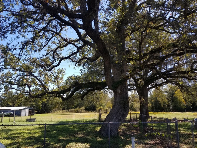 Photo - Cute 2 bedroom - Convenient Location