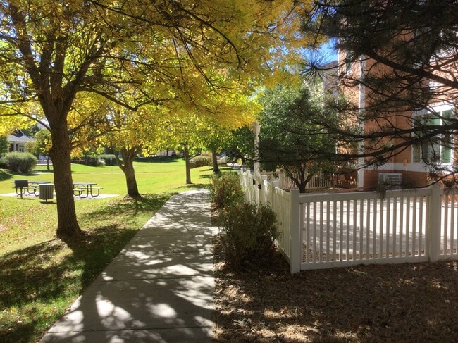 Unit has its own private patio that faces serene greenspace - 2035 Grays Peak Dr Unit 101