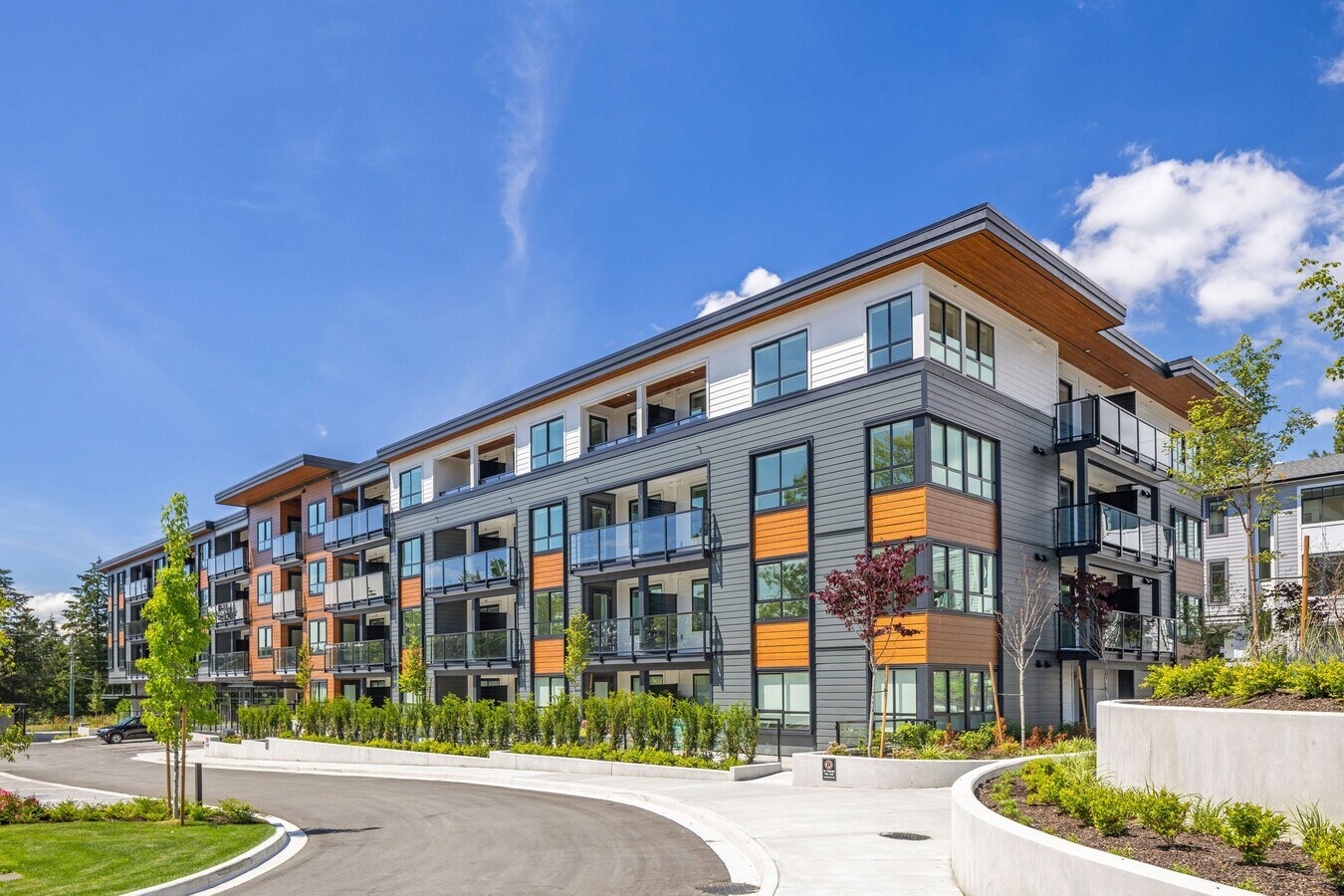 Wood & Water - Wood & Water