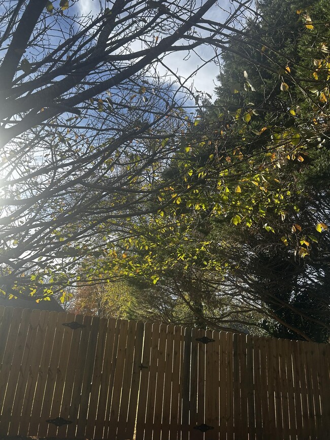 Patio cercado - 515 Bally Claire Ln