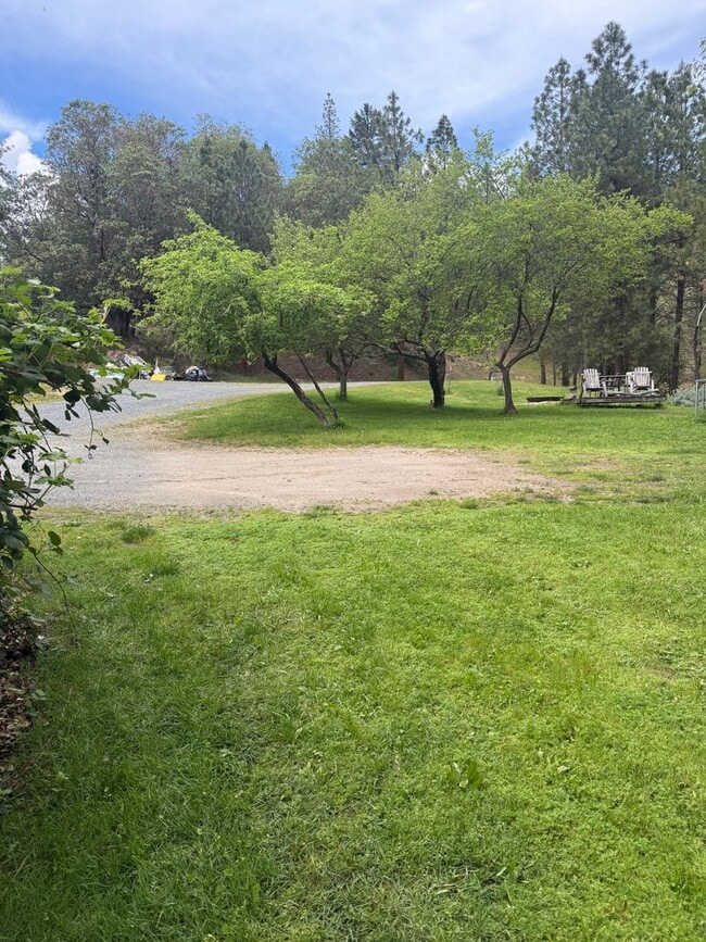 Photo - 3BED2BATH - LARGE FENCED BACK YARD, CENTRAL AC/HEAT, STAINLESS STEEL APPLIANCED, WASHER/DRYER HOOKUP