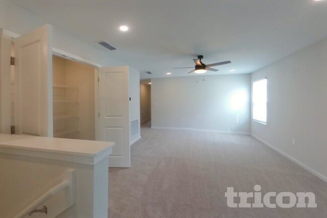 64 Brazil Nut Cir