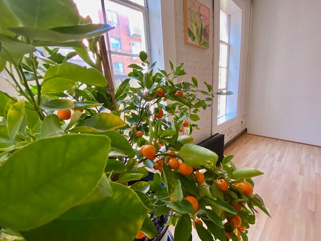 Photo - 181 Mott St Unit #4