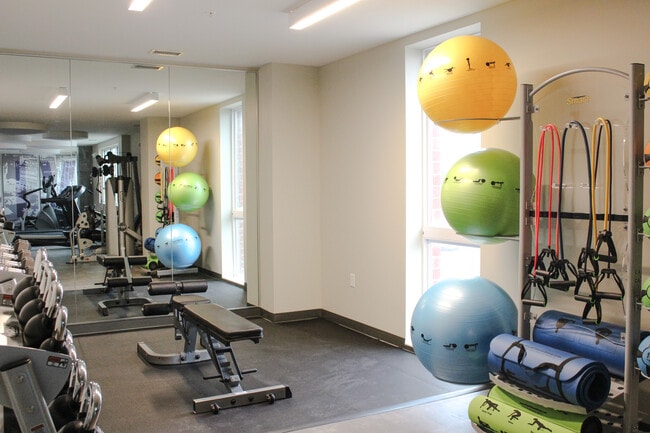 Photo - Vivio on Tenth