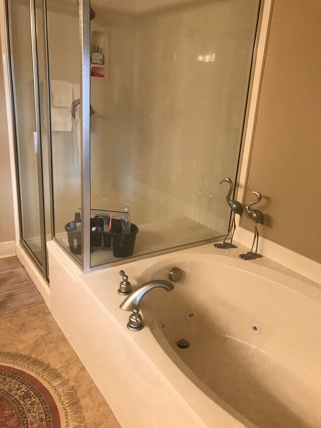 Whirlpool tub, walk in shower
