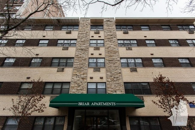 510 W Briar Pl Unit 301