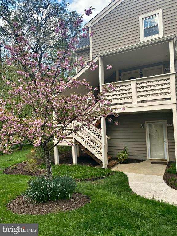 Photo - 7678 Willow Point Dr Unidad 7678