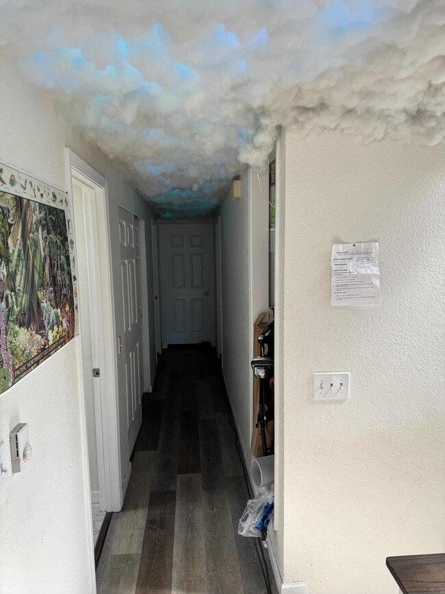 Photo - 10207 8th Ave NE