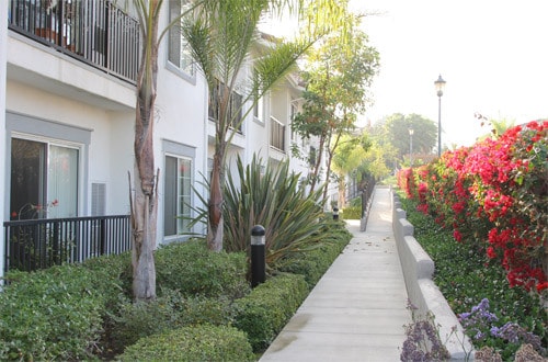 Villa Paloma Senior Apartments