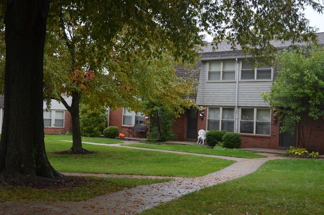 Primary Photo