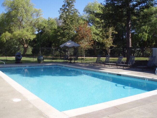 Beautiful Downstairs 1 Bedroom 1 Bath Apar... - Beautiful Downstairs 1 Bedroom 1 Bath Apar... House