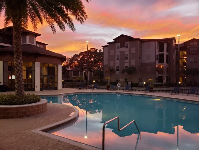 apartments for rent in 33778 largo fl forrent com