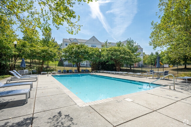 Swimming Pool Area