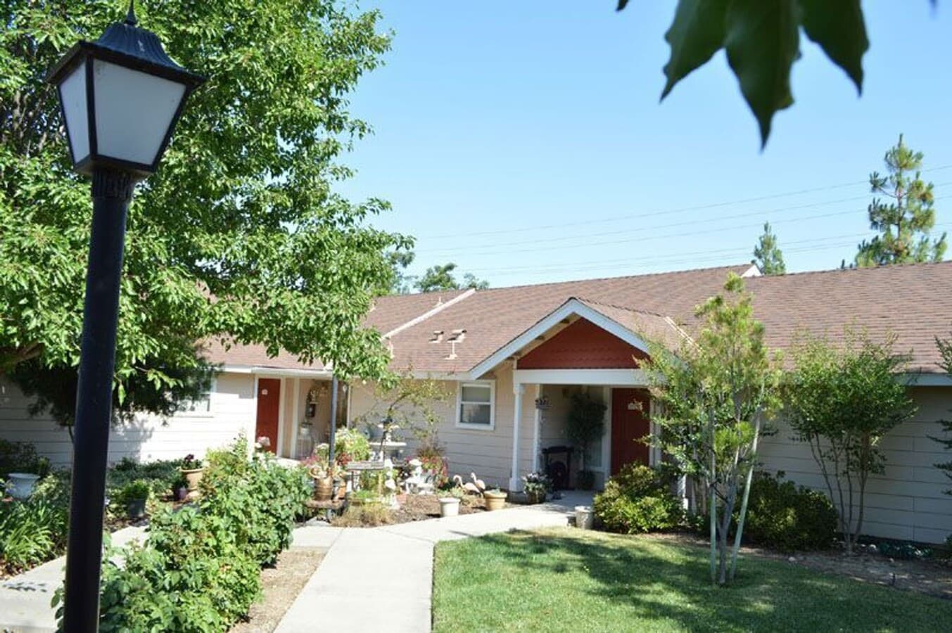 Photo - Comfrey Senior