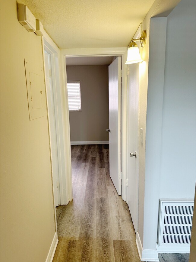 Davis Islands Apartments Tampa, FL