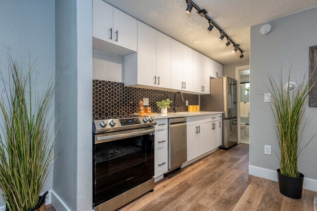 1341 Cook