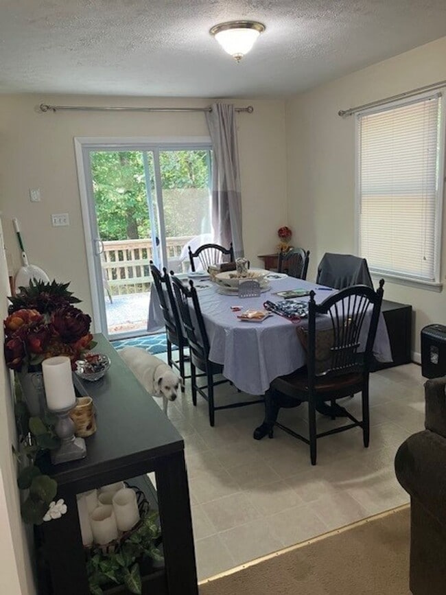 Photo - Lovely Rambler