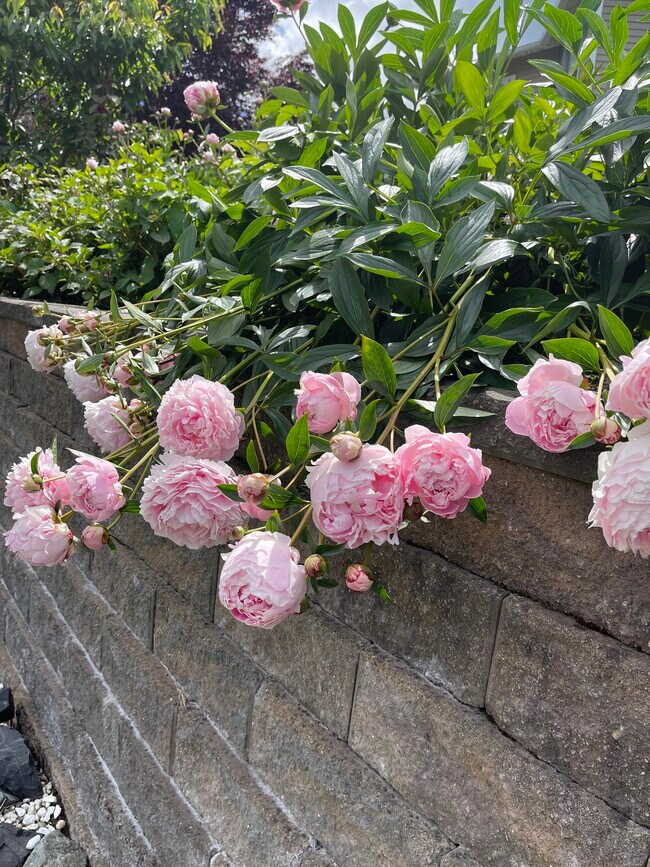 Photo - 15407 36th Dr SE