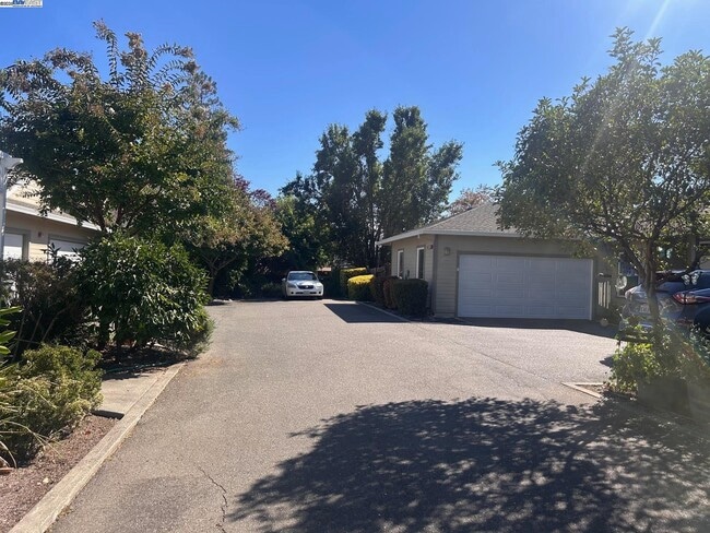 Photo - 426 Piper St