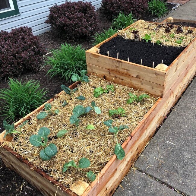 Wellington Woods Senior Apartments Kentwood, MI