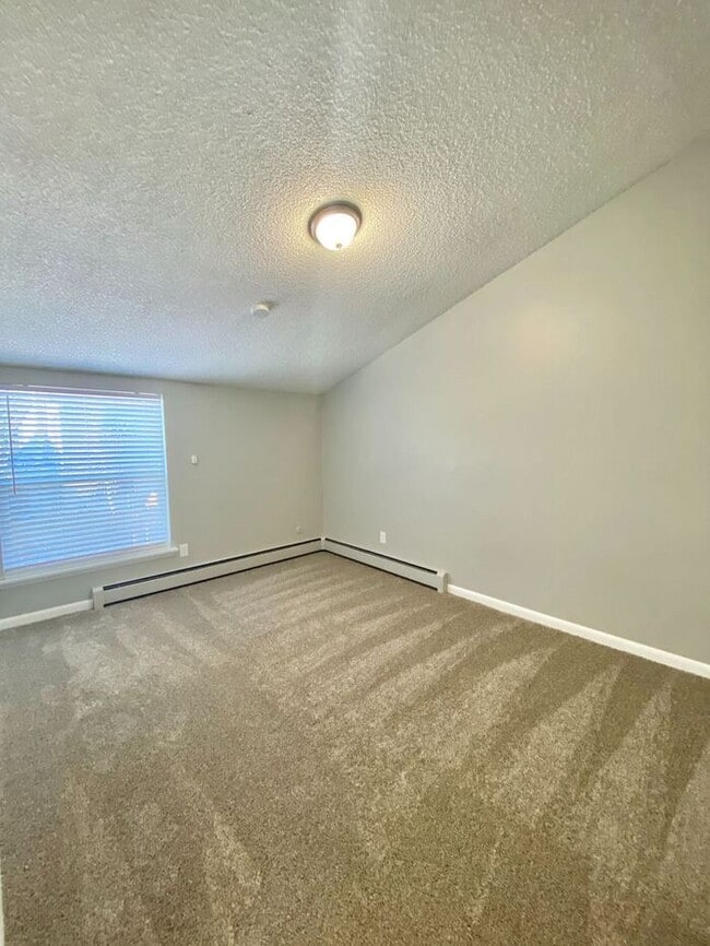 Photo - Recently Upgraded 2 Bedroom Apt Near Horsetooth!