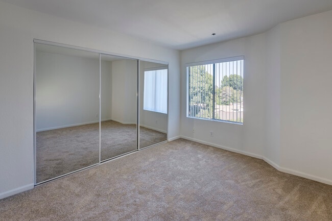 Photo - The Ivy Apartments