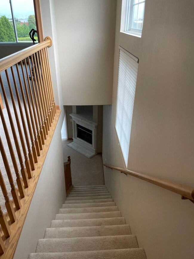 Photo - 2617 Carrolwood Rd