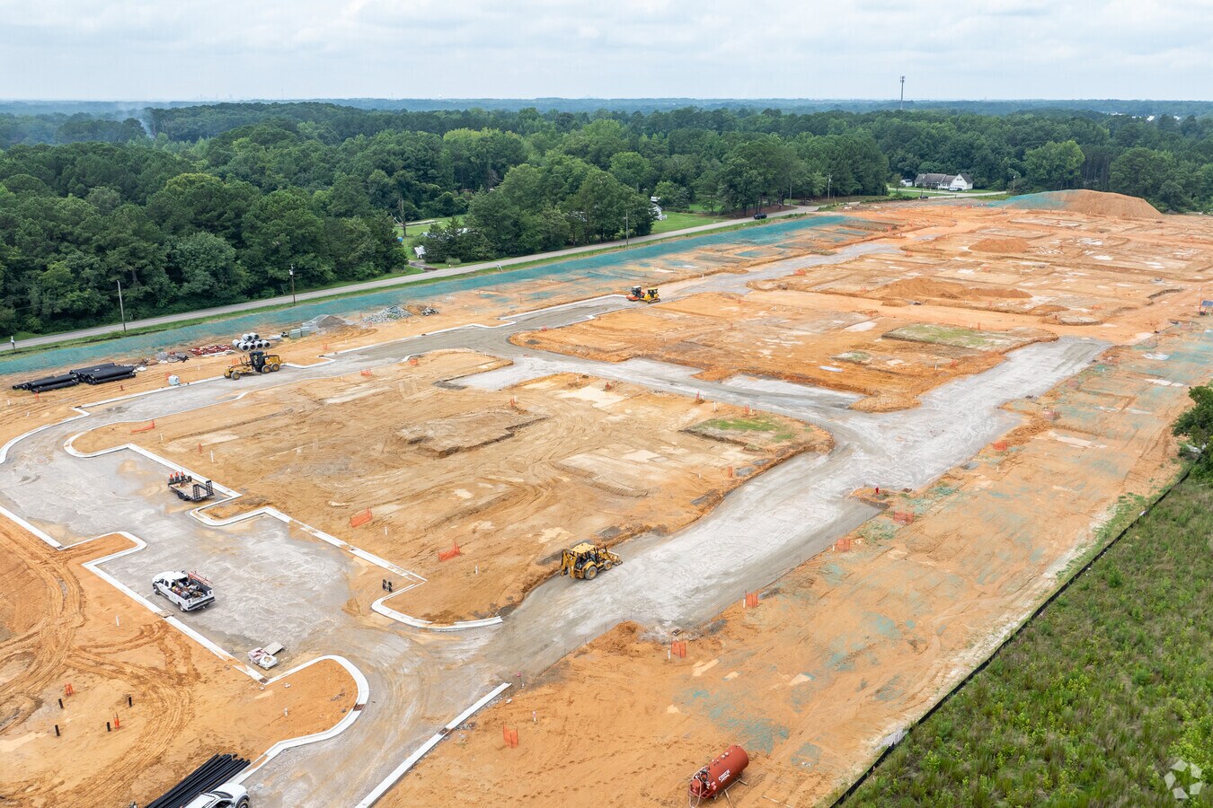 Photo - Leo at Wendell