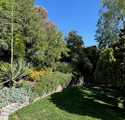 Photo - 420 Tamarac Drive