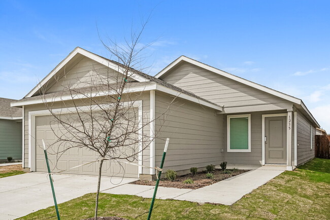 Building Photo - 1235 Maple St