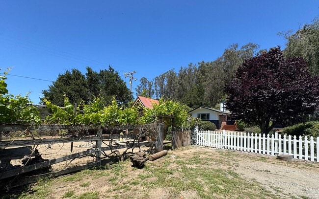 Photo - Peaceful Country Living