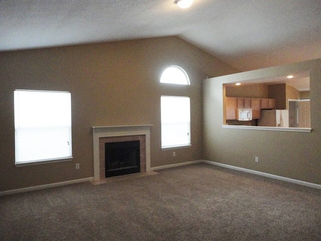 Photo - 12293 Driftstone Dr