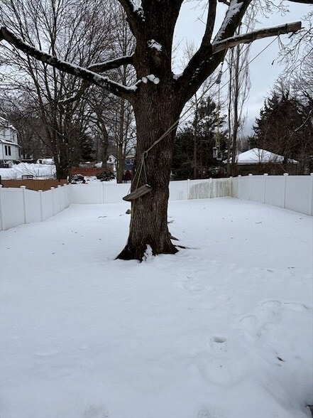 Photo - 15 Buckingham St