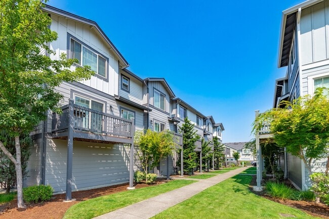 Aster Townhomes