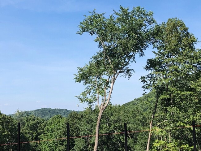 Photo - West Woods Place Apartments