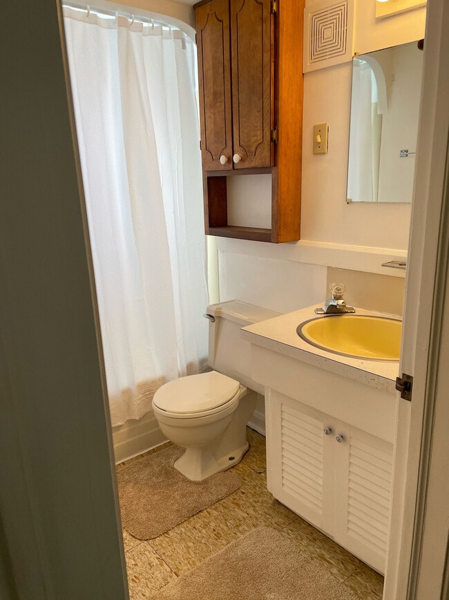 Bathroom - 231 N Spring Grove St Unit Apt 2