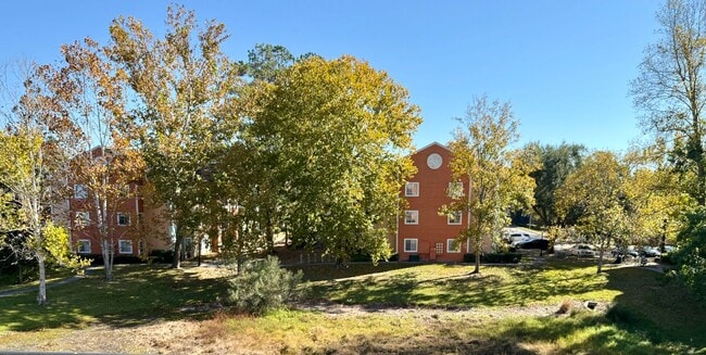 Building Photo - Renovated 4BR/2BA 3rd-Floor Condo – Minutes to UF, Shands & VA | University Commons