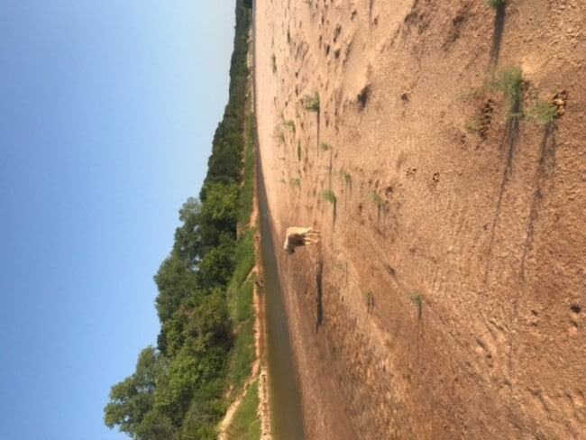 4455 County Rd 127