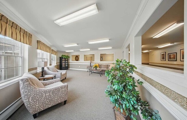 Photo - Ulster Gardens