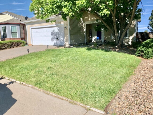 Photo - Wonderful 3 Bedroom Home in Parker