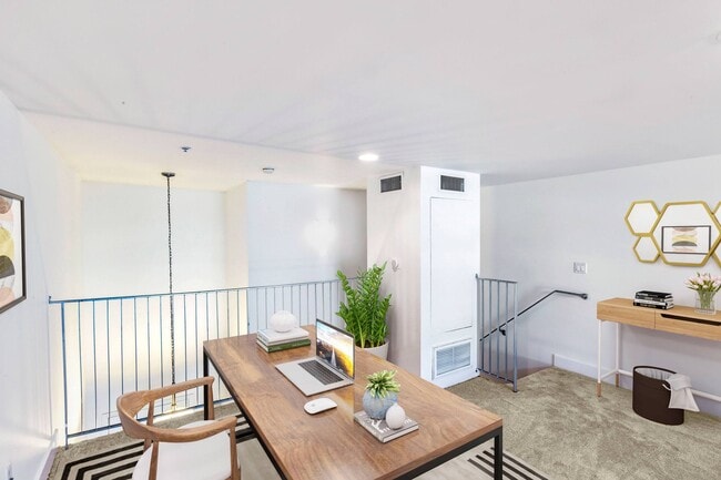 The Social Apartments