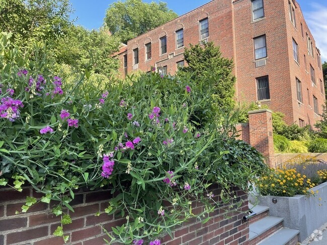 Building Photo - 311 Tappan St Unit 1 Rental