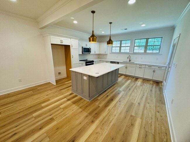 Building Photo - FOR LEASE - NEW BUILD TOWNHOME LOCATED IN ...