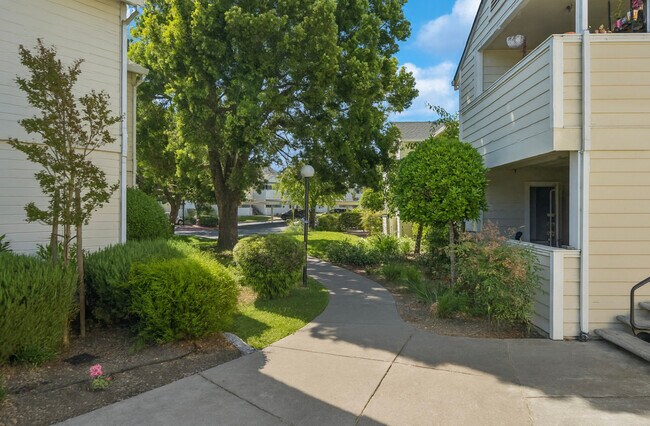 Emerald Pointe