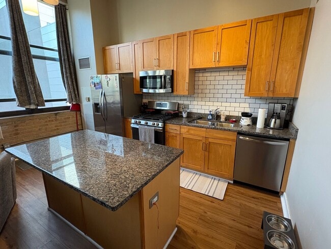 Photo - South Loop Chicago 1 Bed 1 Bath Apartment