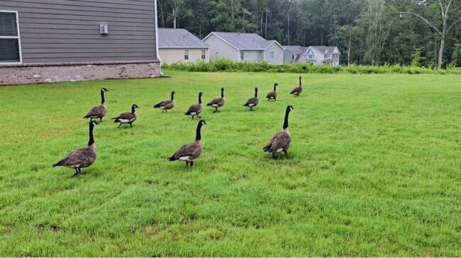 Photo - 3856 Lockaby Way