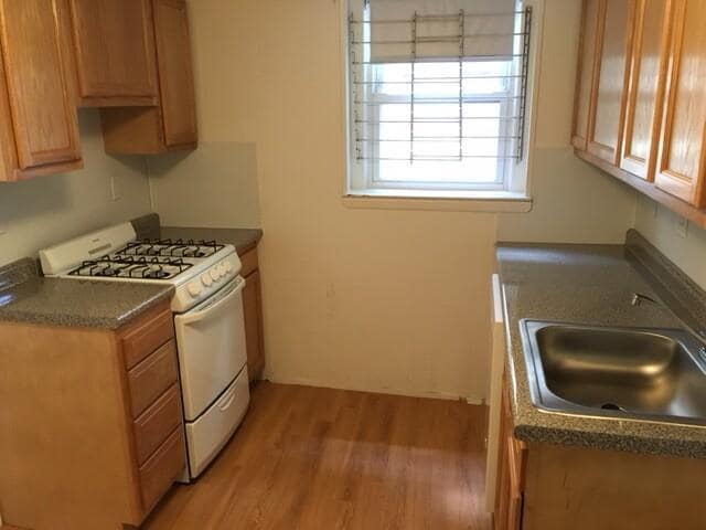 Photo - 1 bedroom in Boston MA 02135