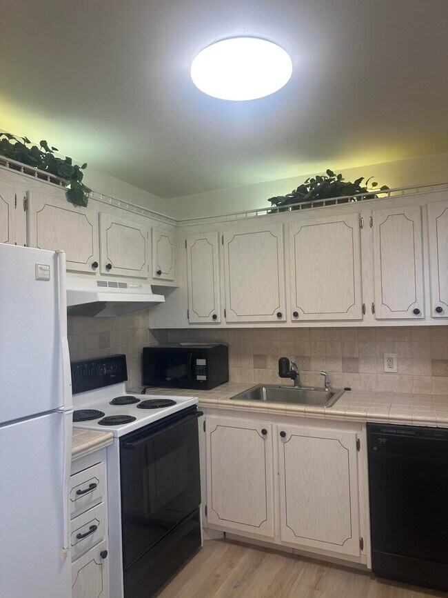 Photo - 74 Northampton D