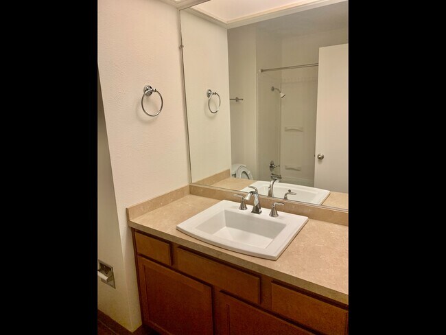 Peg Tree - Spacious Bathroom - Peg Tree Apartments