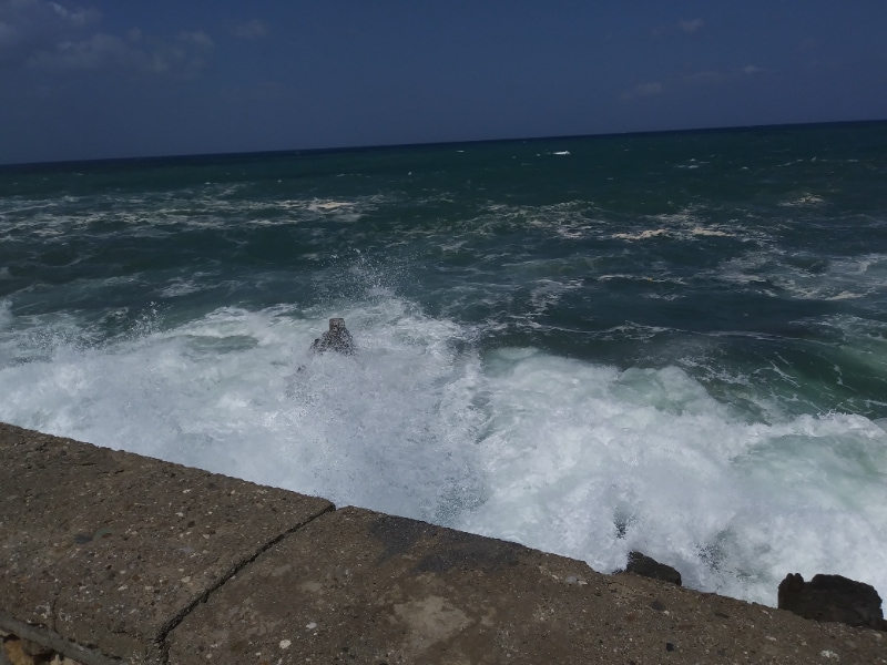 Photo - 1176 Panda Rd